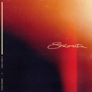 Shawn Mendes, Camila Cabello